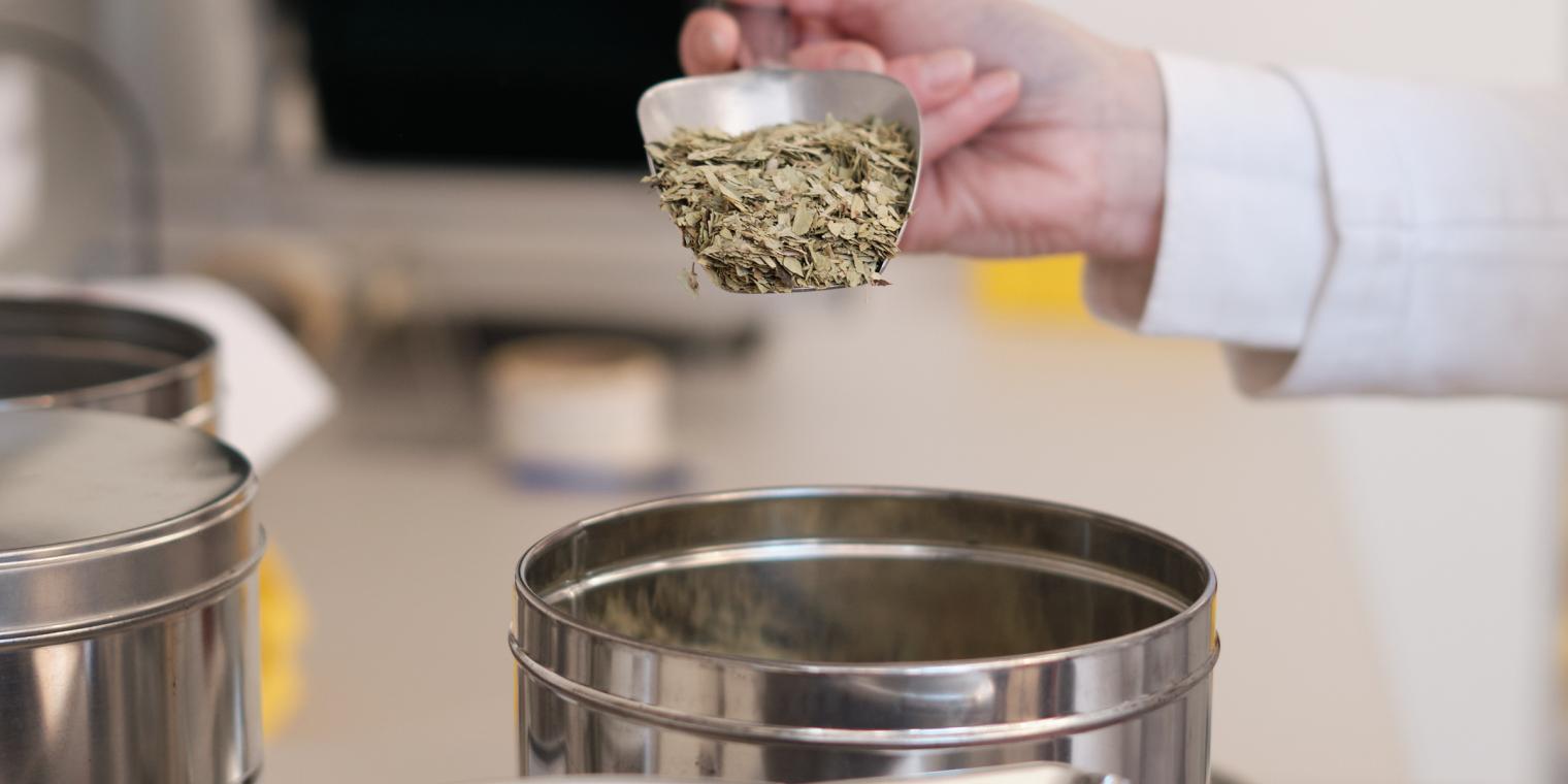 team-sante-germania-by-wolfgang-lehner_xh13784