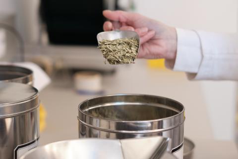 team-sante-germania-by-wolfgang-lehner_xh13784